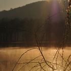 Leichter Nebel am See