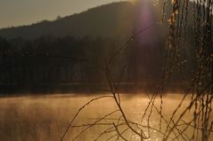 Leichter Nebel am See