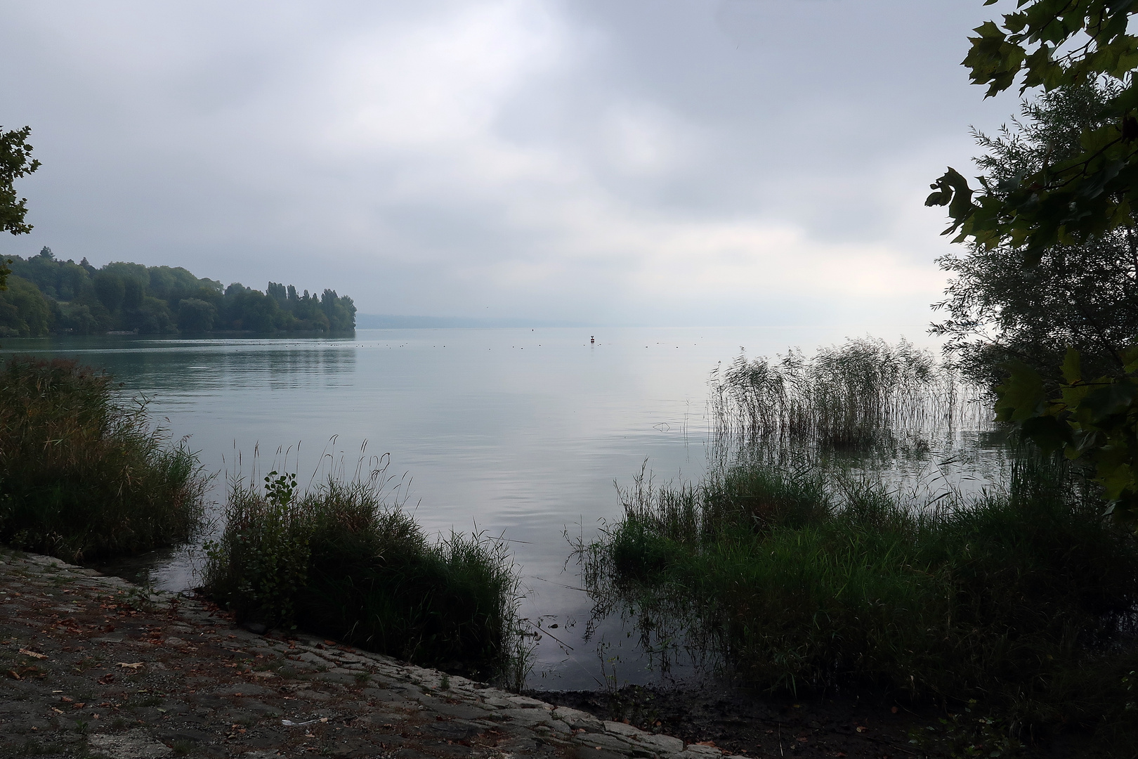 Leichter Nebel an der Mainau