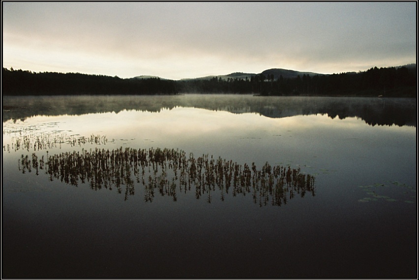 Leichter Nebel auf einem See