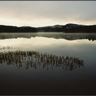 Leichter Nebel auf einem See