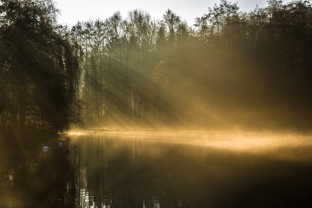 leichter Nebel...