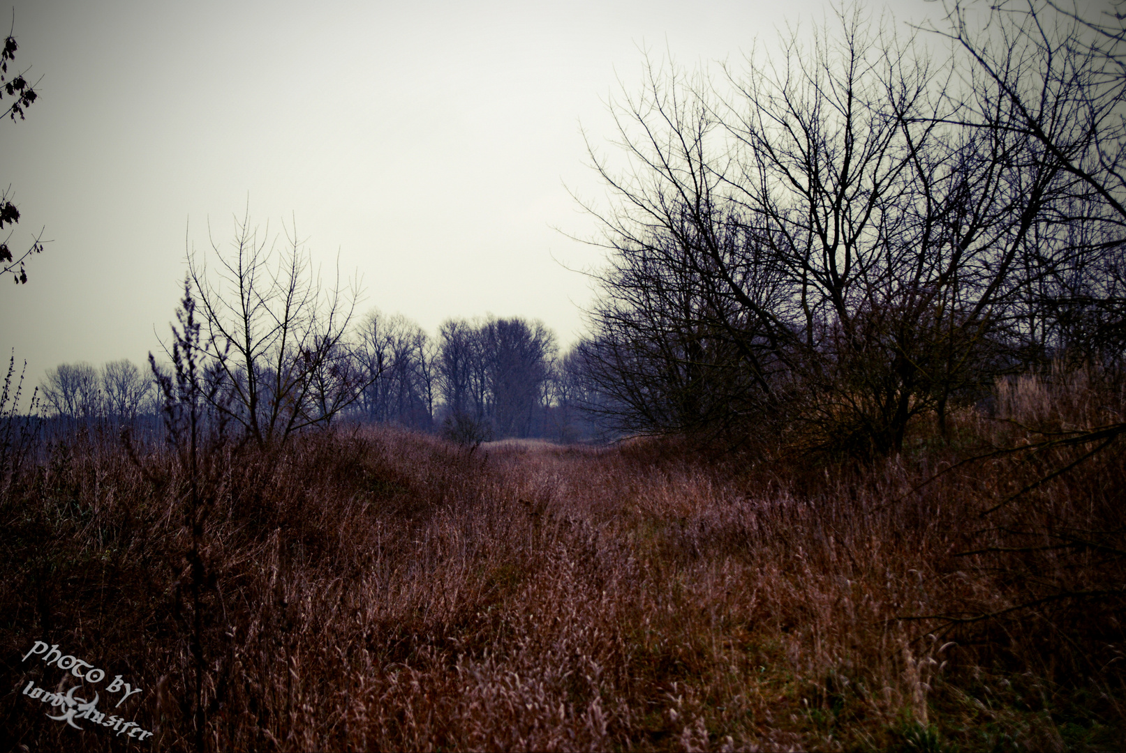 leichter nebel fällt auf die länder