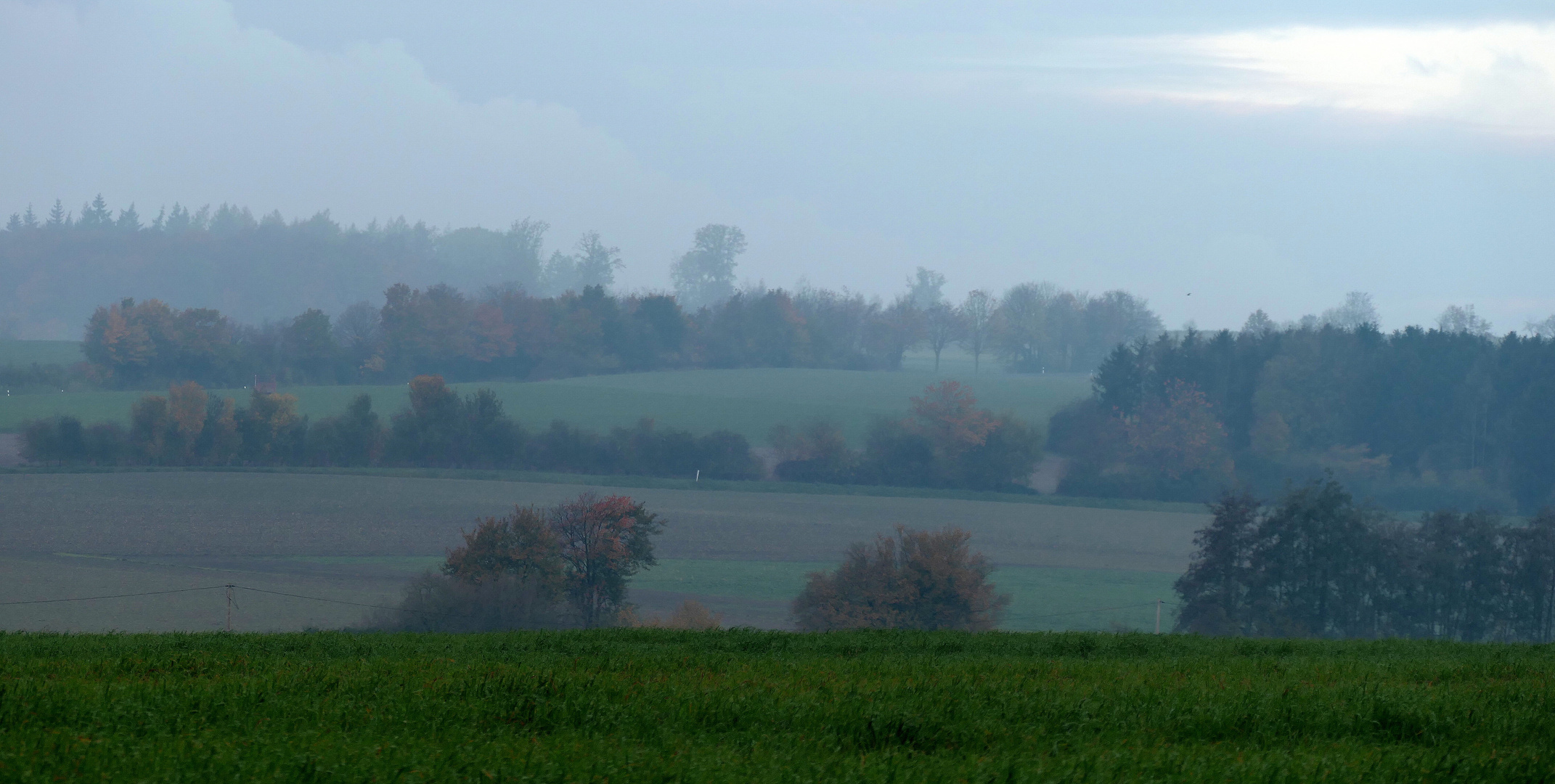 Leichter Nebel im Münsterland