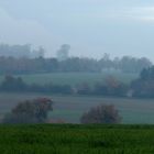 Leichter Nebel im Münsterland