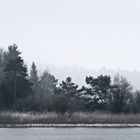 Leichter Nebel überm See