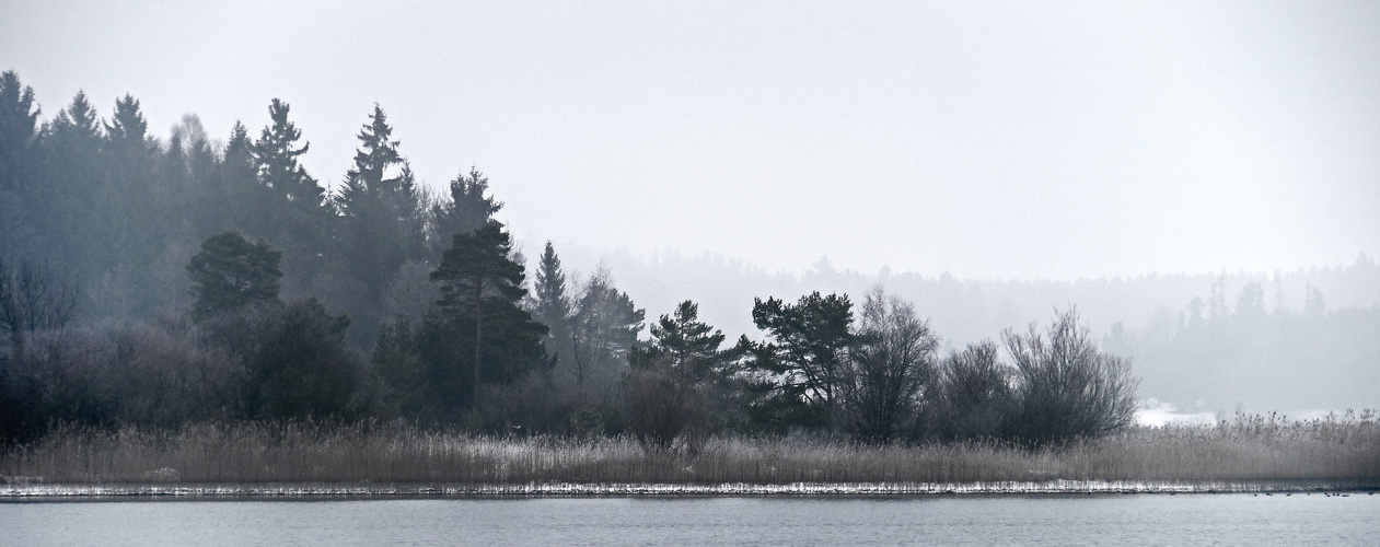 Leichter Nebel überm See