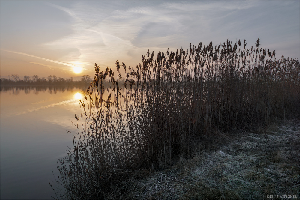 Leichter Raureif morgens am See