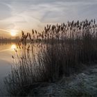 Leichter Raureif morgens am See