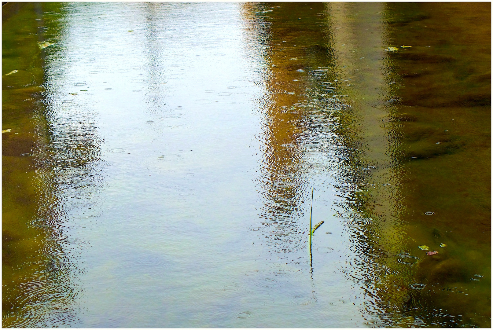 leichter Regen Foto &amp; Bild | experimente, konzept- fotografie ...