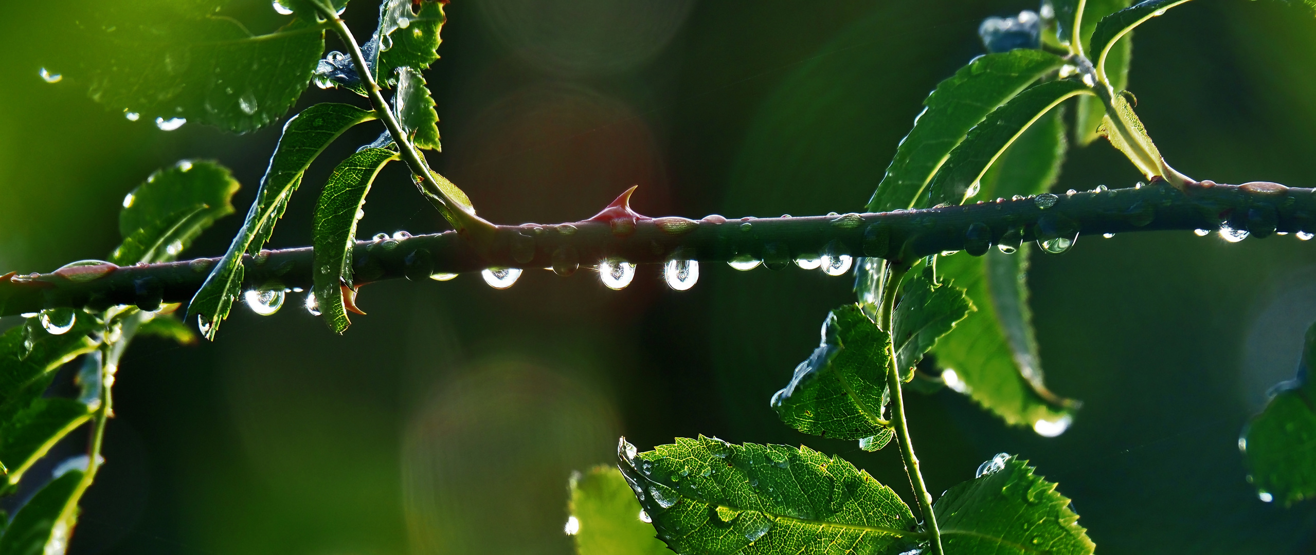 Leichter Regen....