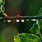 Leichter Regen....