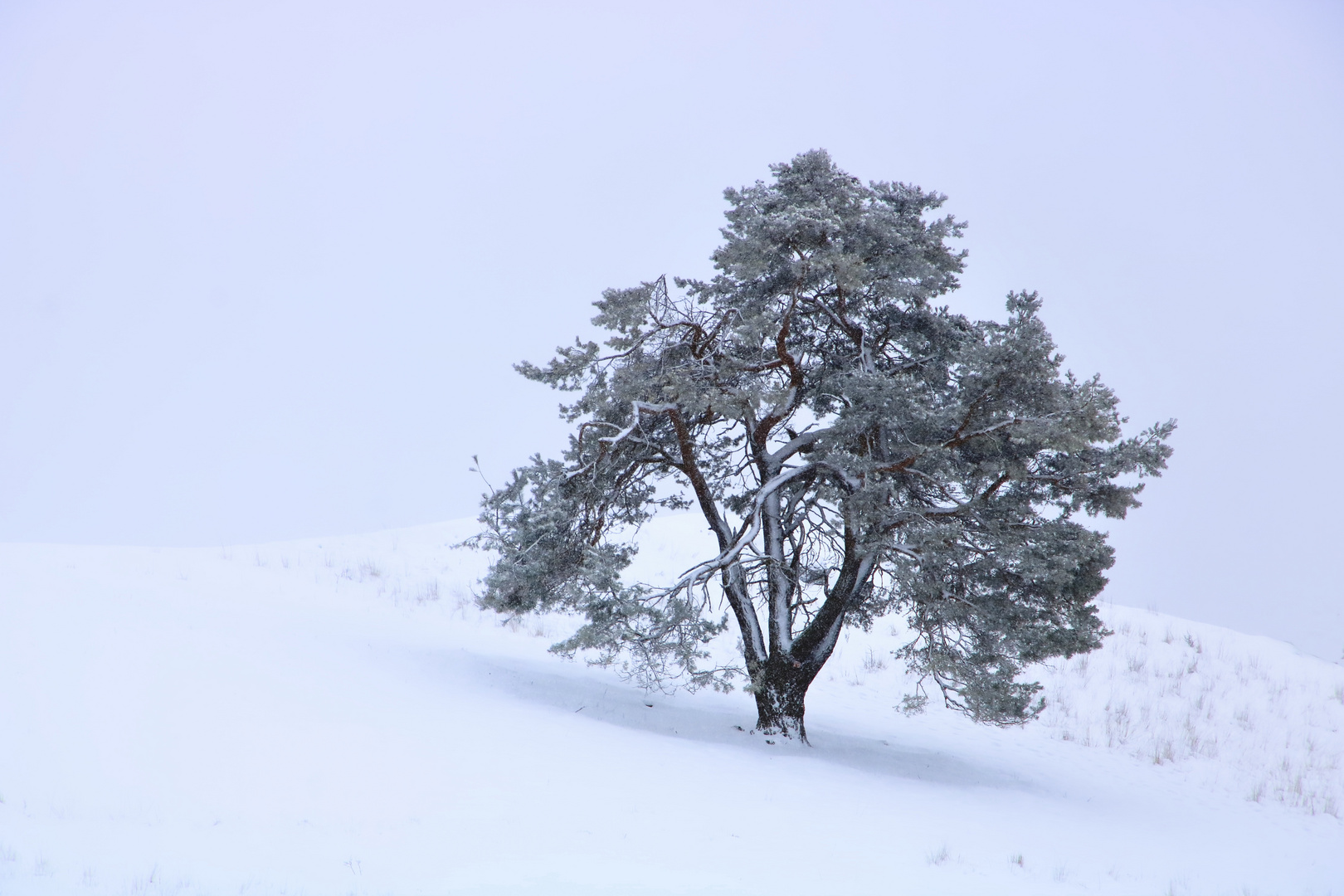 Leichter Schneefall