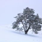 Leichter Schneefall