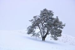 Leichter Schneefall