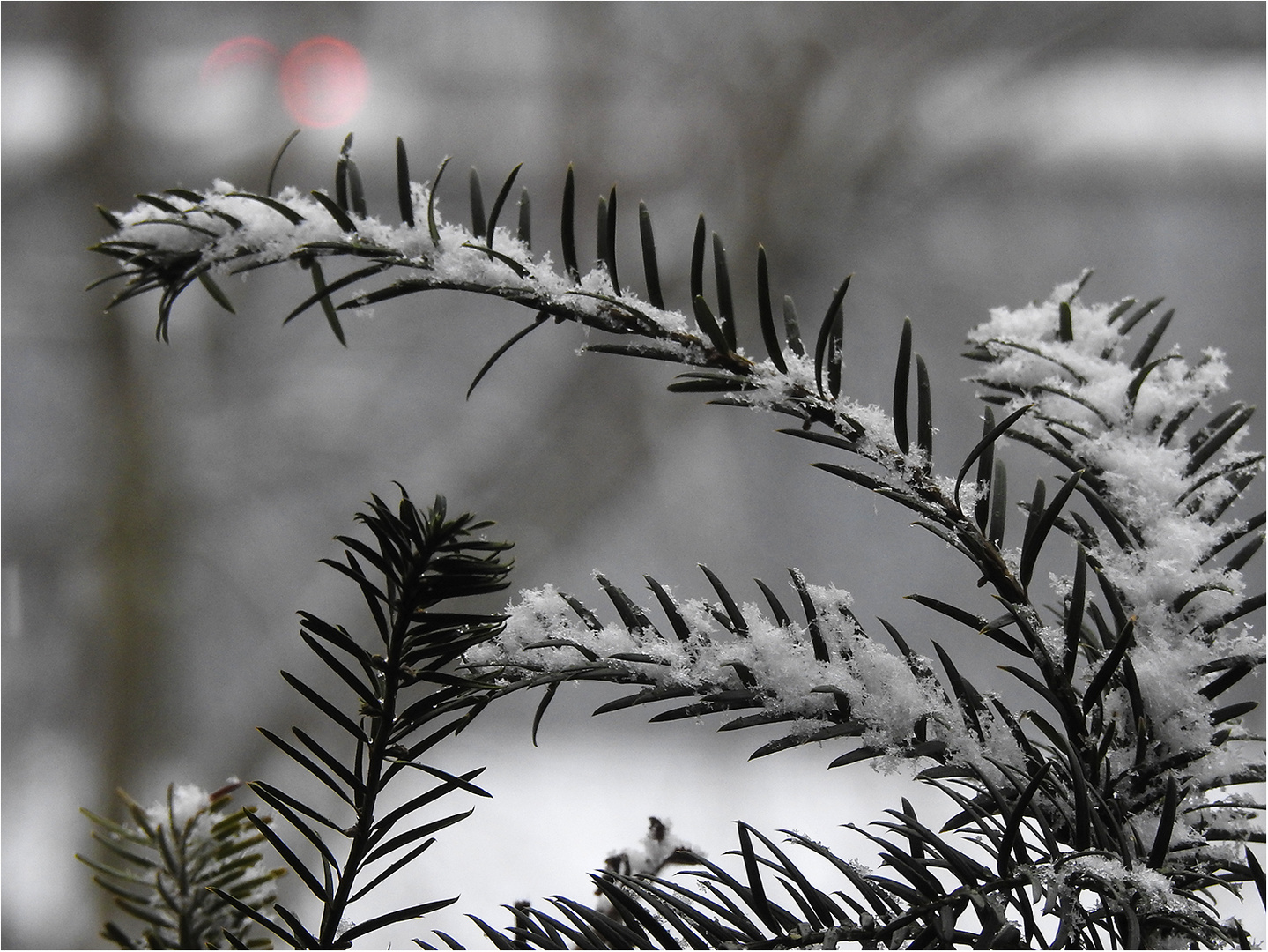 Leichter Schneefall