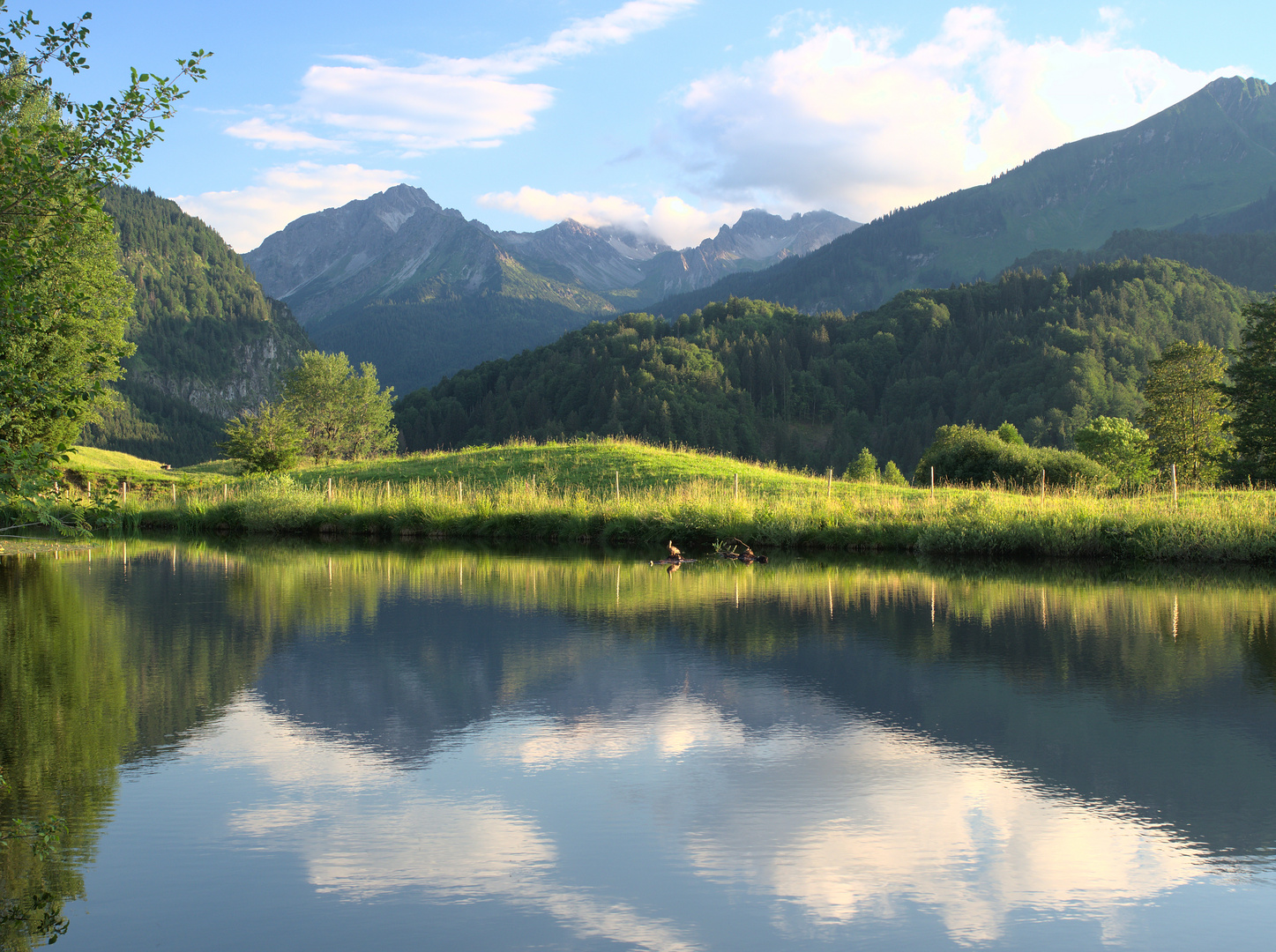 Leichter Wind am Moorweiher