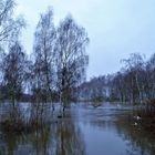 Leichtes Hochwasser 