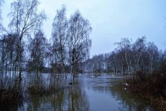 Leichtes Hochwasser 