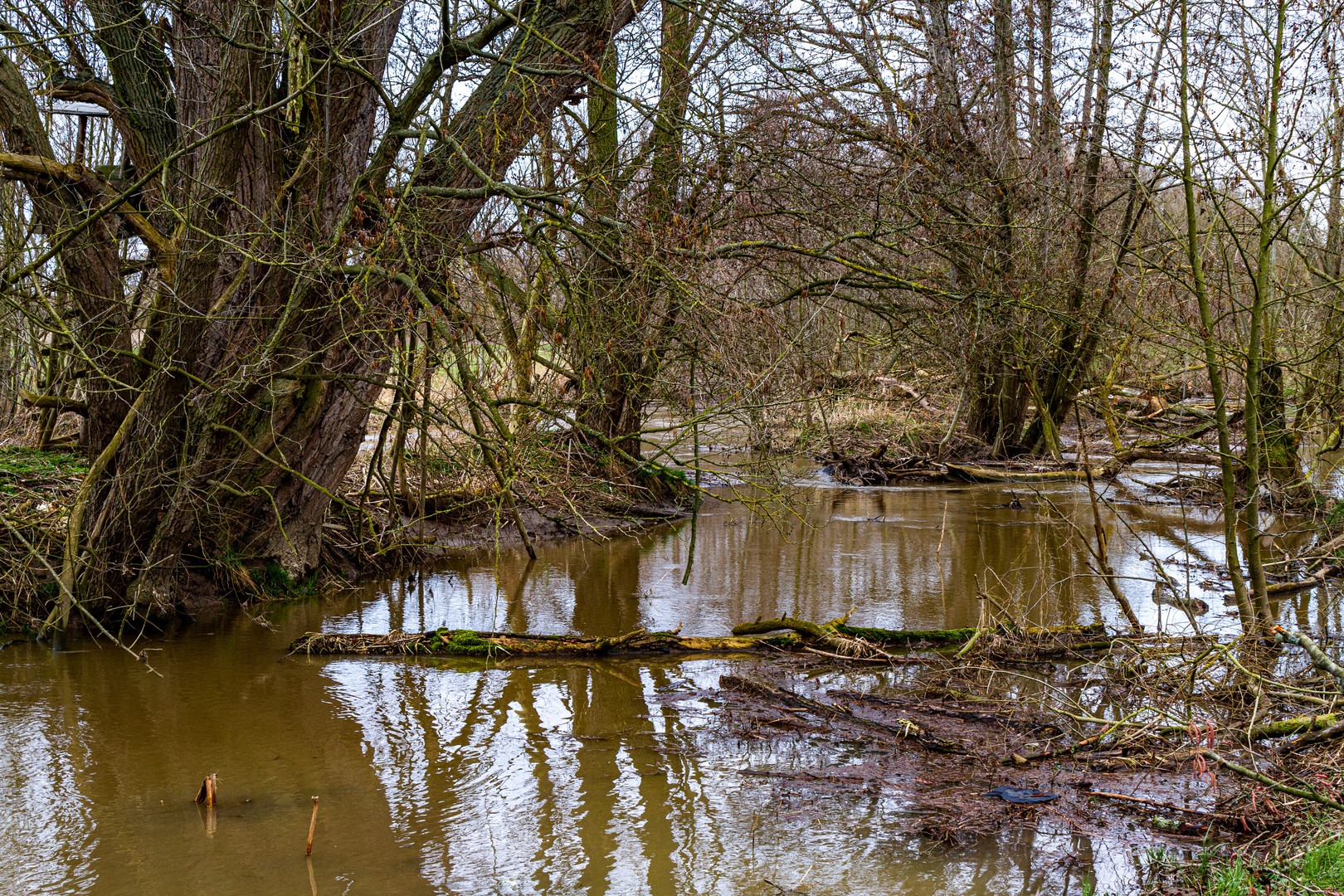 Leichtes Hochwasser