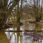 Leichtes Hochwasser