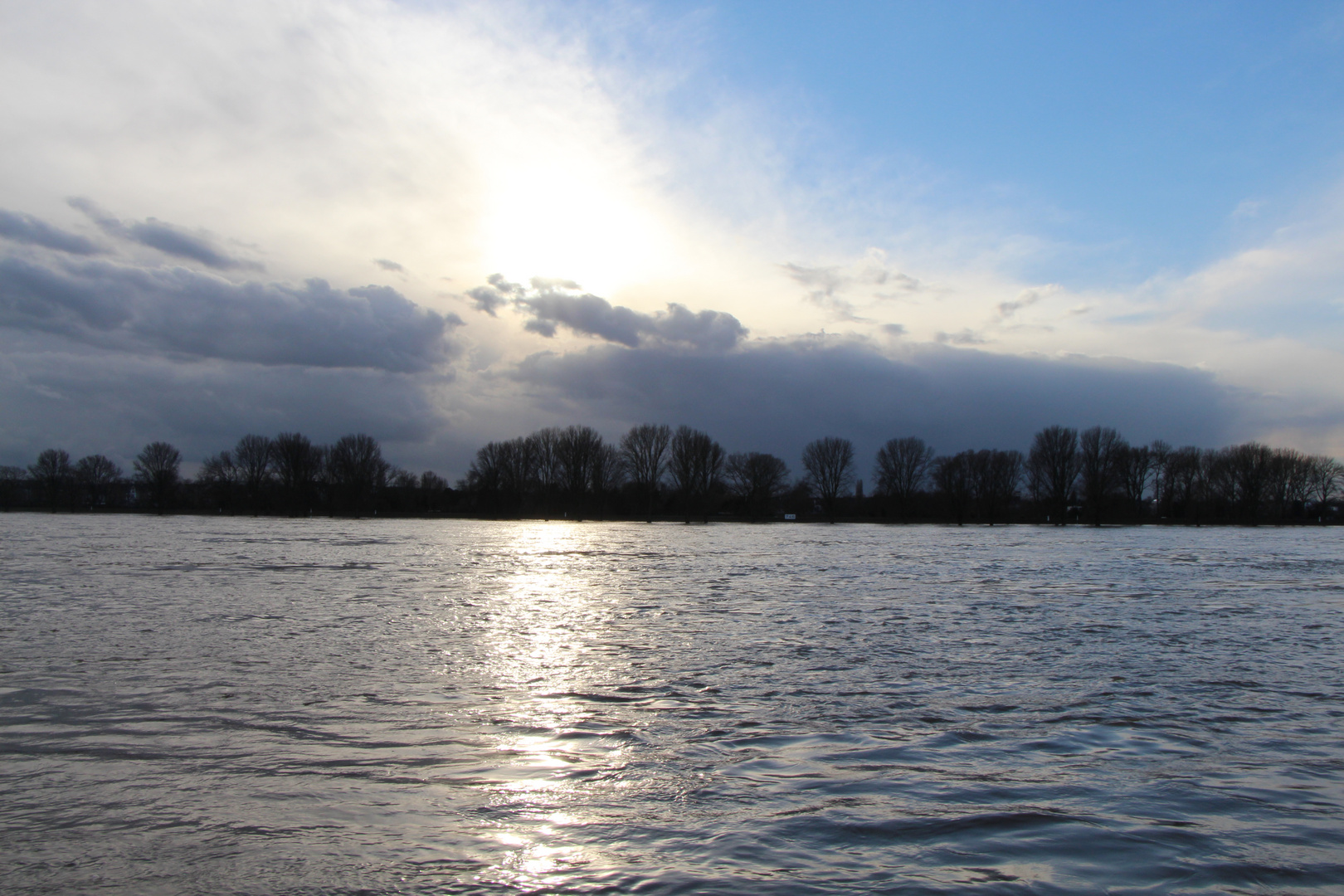 leichtes Hochwasser am Rhein