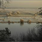 Leichtes Hochwasser....