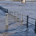 Leichtes Hochwassser der Elbe