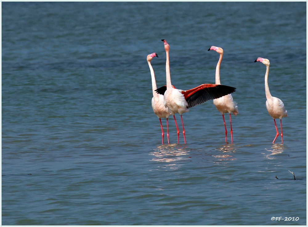 Leichtes Morgen-Stretching (I)