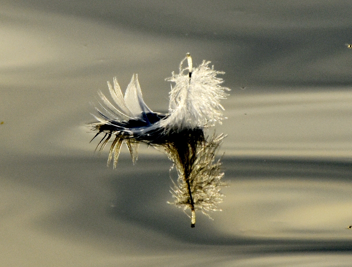 Leichtes Segel