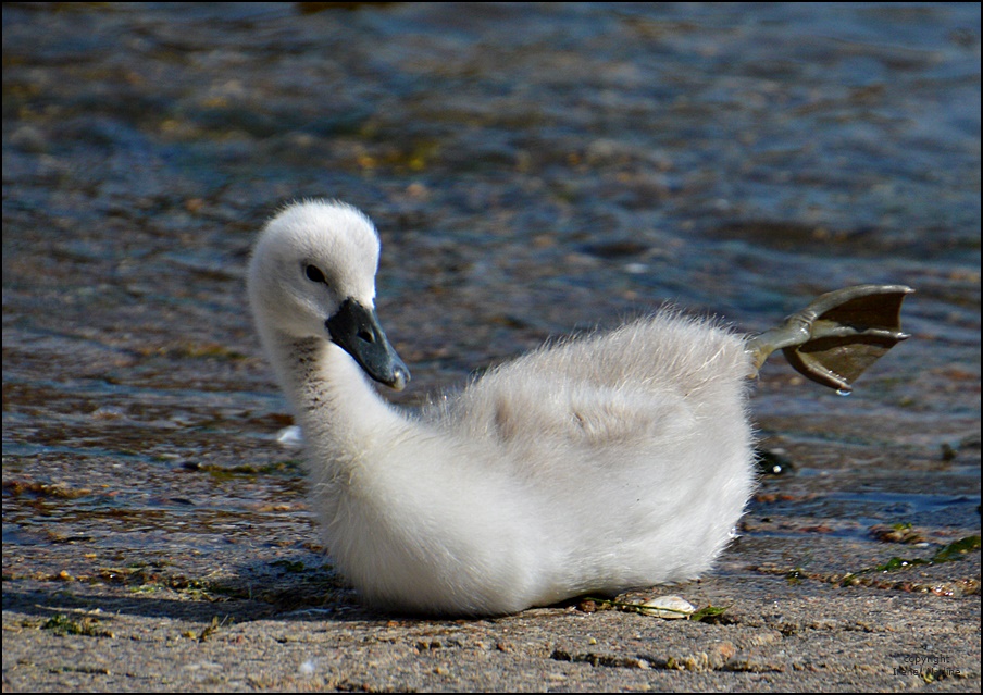 Leichtes Stretching...