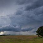 Leichtes Wettergebaren