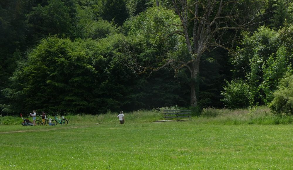 Leichtflüssig ist der Sommer am Bach