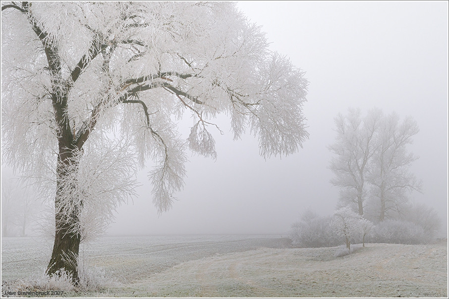 Leichtigkeit des Winters