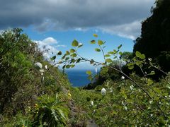 Leichtigkeit unter schweren Wolken