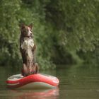 Leichtmatrose Zoom: in den Ausguck!!