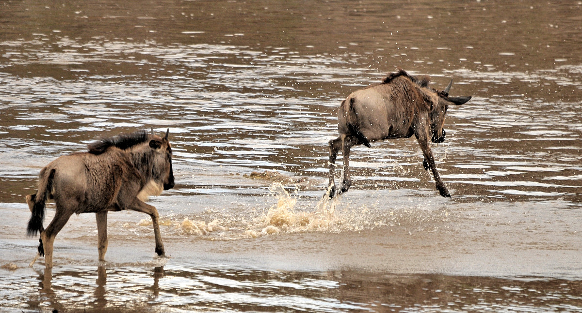 Leichtsinn am Fluss