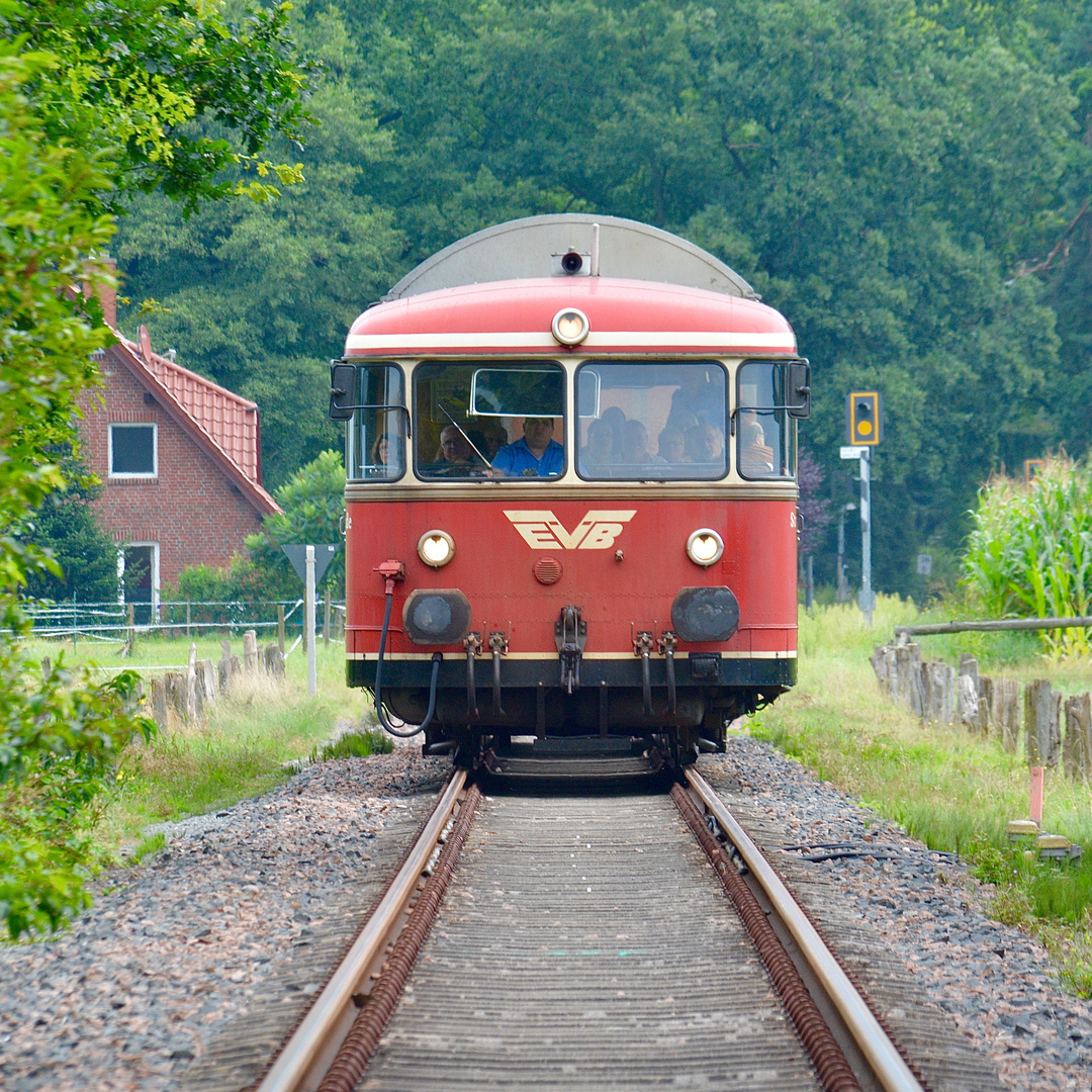 Leichtsinnige Touris