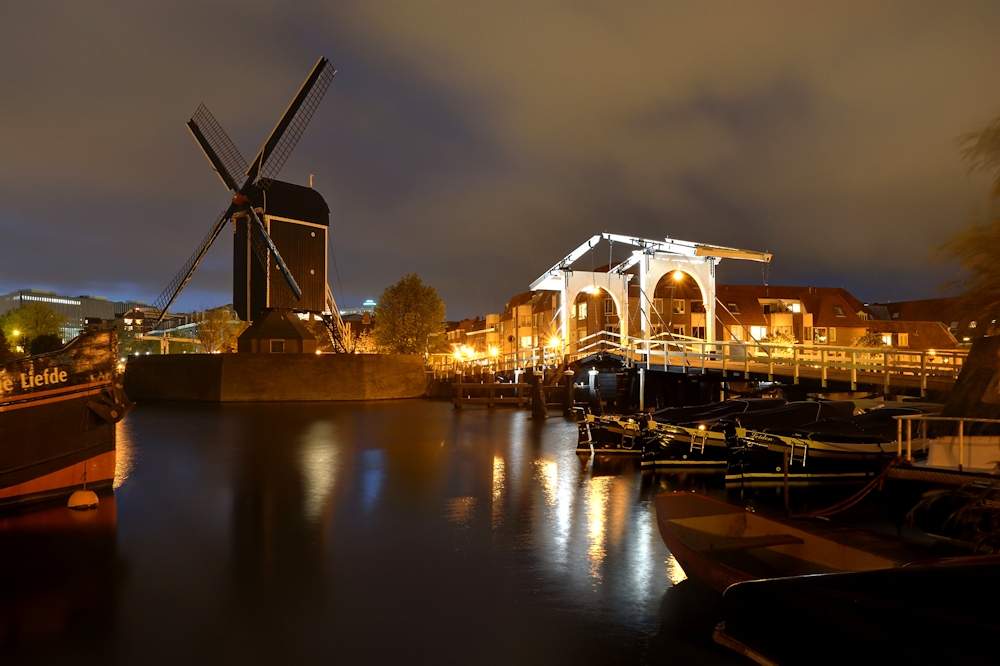 Leiden Molen de Put