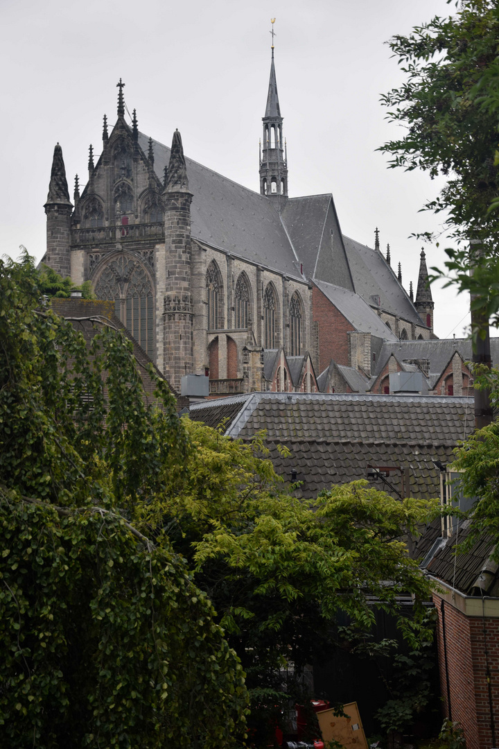 Leiden / Niederlande