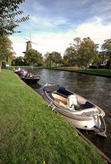 Leiden - Rijnsburgersingel - 01