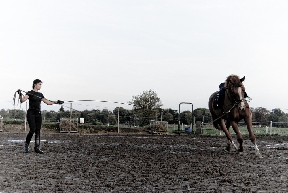 Leidenschaft Reiten IV