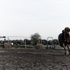 Leidenschaft Reiten IV