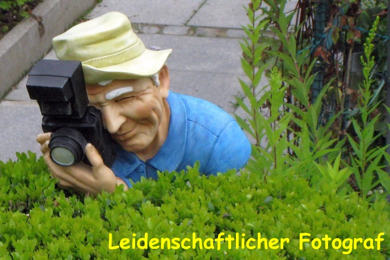 Leidenschaftlicher Fotograf