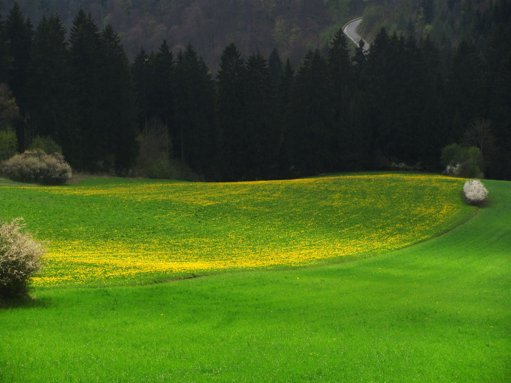 Leider erst im April so