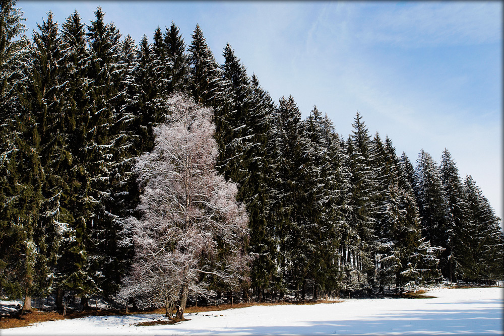 Leider immer noch Winter ...