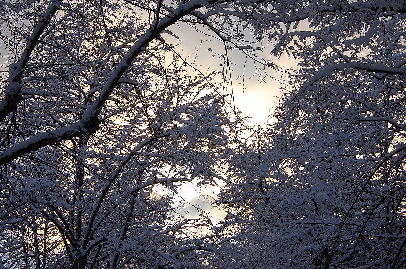 Leider ist der Winter bald vorbei...