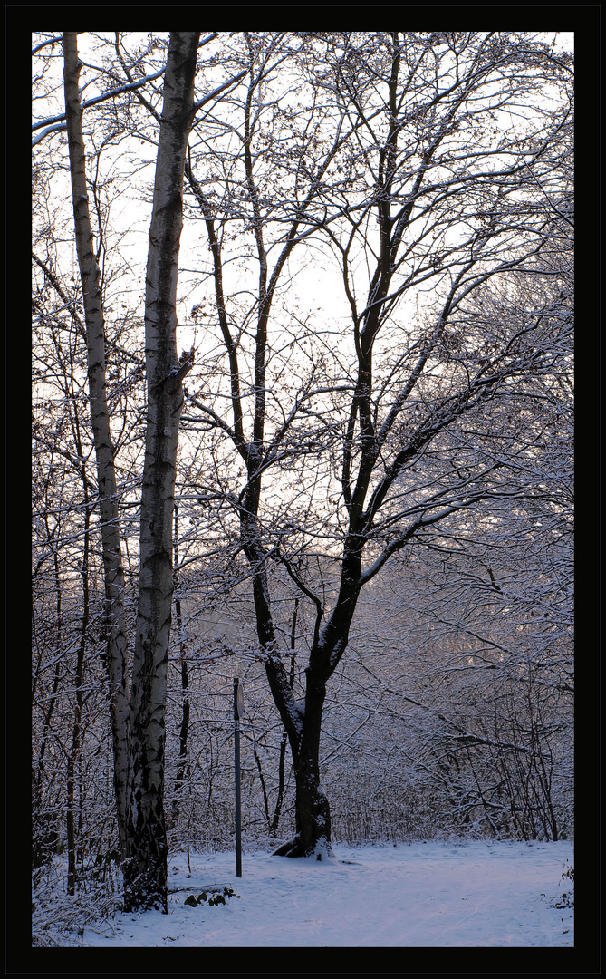 Leider kein Schnee....