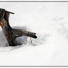 Leider keine Wasser... / Purtroppo niente acqua...