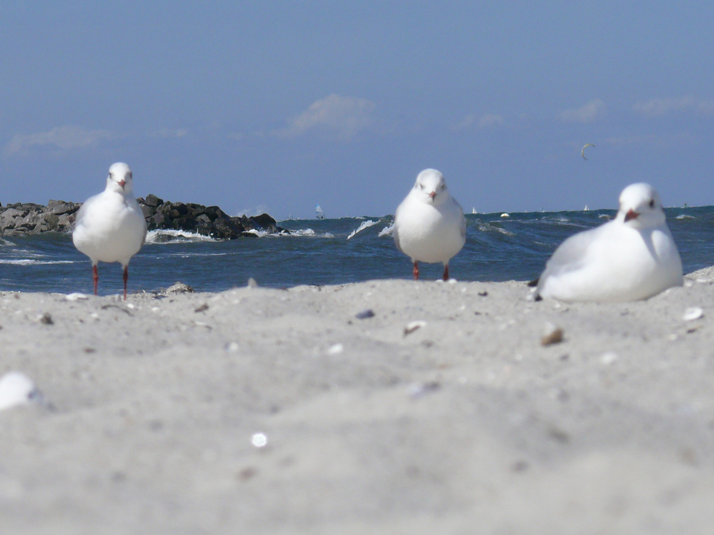 Leider ohne Strandkorb :-(